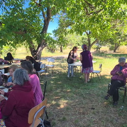 Entre Gredas y viñedos - Noviembre 2025 ( AMA)